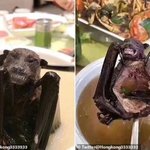 우한 폐렴 이대목동병원 의사피셜