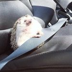 [드루와] 극혐주의)나 피부 하얀데 트러블 개개개개심해