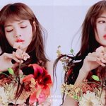 블핑 블랙핑크 <b>리사</b> 로제 지수 제니