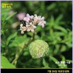 <b>세뱃돈</b>으로 뭐할거야? 일단 드루와봐