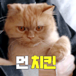 단발하면 안되는거지