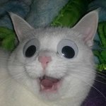 토하고 <b>설사</b>하는 것도