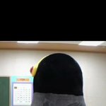 [모두드루와] 키 40<b>센치</b> 차이나는데 차이 안 나 보이는 아이돌...