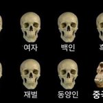 [드루와] 중국인 이거 <b>레알</b>팩트