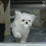 어제부터 <b>발열</b>에 기침하는데 괘찮겠지?