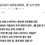 [댓글부탁해] 중국인 <b>입국</b>금지 안한대 이것보셈