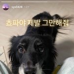[비오브유] 200125 송유빈&amp;김국헌 인스타<b>그램</b> 업로드