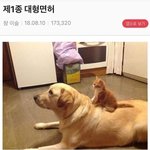 [19] 우리아빠 딴가정있데 딸도있다는데