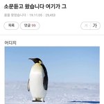 [19] 야요즘