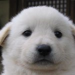 2만원으로 살 필수템 뭐있징