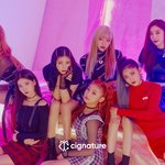 시그니처 컨셉 포토 봤니