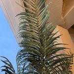 [댓글부탁해] <b>루나</b> 웨이크메이크 모사지