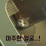 <b>미드</b>소마 보는데