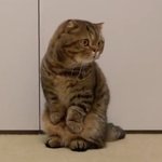 컬러 트리트먼트 하고 헤어스프레이 중에 머사지