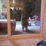 [ㅋㅋㅋㅋㅋ] 코로나 <b>바이러스</b> 예방법 알려드림