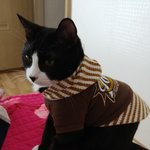 어쩌다 <b>집사</b>