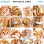 아 ㅁㅊㅋㅋㅋㅋㅋㅋ