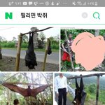 너네 필리핀 <b>박쥐</b> 봤냐