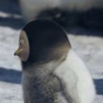 [댓글부탁해] 남극유치원 다니던 시절 <b>펭</b>이