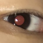 [드루와] 나 이런거 처음봄