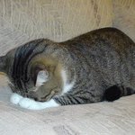 코로나 <b>바이러스</b> 퍼지는데 우리 학교 진짜 맘에 안 들어