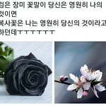 [드루와] 난 머리카락 얇은애들이 제일부러움