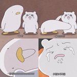[드루와] 나 낼 잠깐 할머니집 갔다와야하는데 <b>머리감</b>을까