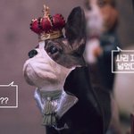 [댓글부탁해] 김희철 연애 얘기하는데 <b>자막</b>ㅋ