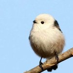 [드루와] 얘들아 근데 잘생긴<b>남자</b>가 없는 이유는 뭘까?