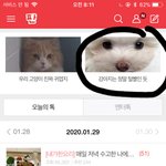 뭐냐 울 갱쥐 왜 <b>여</b><b>깃</b>노;;