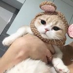 [댓글부탁해] <b>중고</b>거래 하는판녀있어??