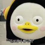 [모두드루와] 악플읽고 화장실에서 우는 아이돌