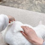 [드루와] 나 개명할건데 둘중 골라줘 ㅈㅂ ㅠ
