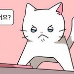 만약 너네가 수능만점 받으면 뭐할거임??
