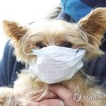[드루와] 런닝맨 웃음참기편 개웃기네ㅋㅋㅌ