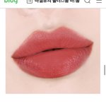 이런 <b>틴트</b> 아는 판녀있니