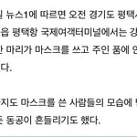 오늘 마스크 쓰고 인천공항 <b>귀국</b>한 강아지