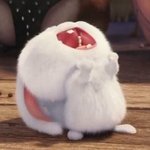 [드루와] 향수 추반해주면 남친생김