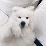 [댓글부탁해] <b>인스타</b> 아이디 잘 만드는 <b>친구</b>?