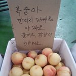 [댓글부탁해] 근데 <b>인문</b>계에서 등급 개낮은 애들은 어디감?