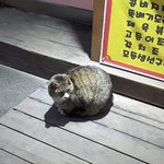 주걱턱 기준 알려드림