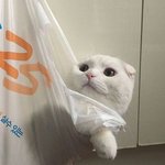 야 <b>니넨</b> 생일때 애들한테 먼저 놀자고 연락함??