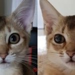 [강다니엘] 궁금해