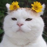 <b>민증</b> 사진 조카 잘나왔음