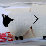 [고양이] [동물사랑방] 저희 깜비를 미워하지 말아주세요...부탁드립니다...
