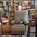 세상 설레게 만든 책방 <b>점원</b>