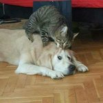 [댓글부탁해] <b>쌍수</b> 2일차인데 <b>라인</b>어때??ㅠㅠㅠ