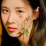 인스타보면 인스티즈같이 사는 사람 많더라