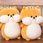 후드<b>집</b><b>업</b> 추천좀 ㅠㅠㅠㅠ제발