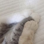 [댓글부탁해] 부모님한테 <b>감사</b>한거 하나씩 적고 가자